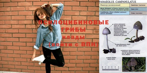 ПСИЛОЦИБИНОВЫЕ ГРИБЫ Алзамай