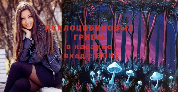 ПСИЛОЦИБИНОВЫЕ ГРИБЫ Алзамай